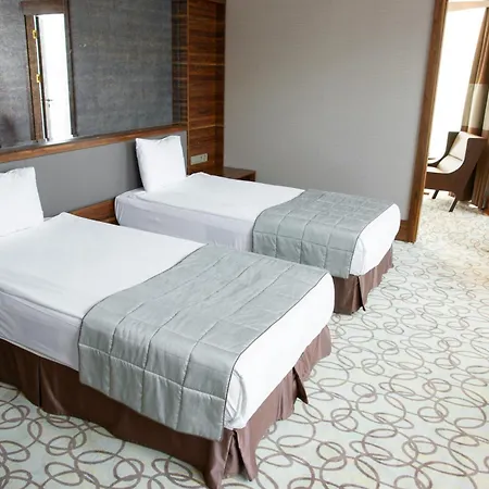 Hotel Royal Caves Plaza Near Igi Airport Delhi
